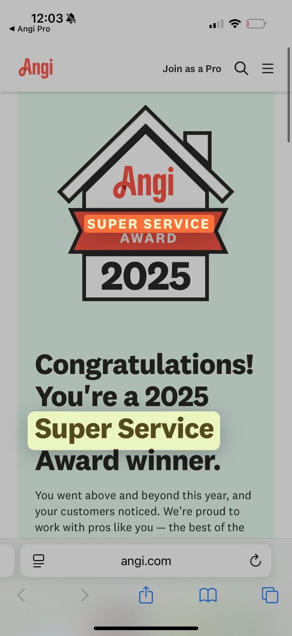 Angi Super Service Award 2025
